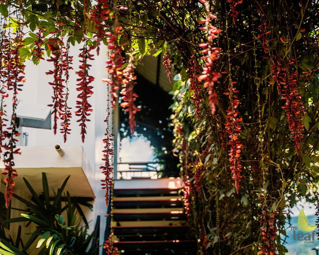 Hotel The Leaf Munnar Zewnętrze zdjęcie