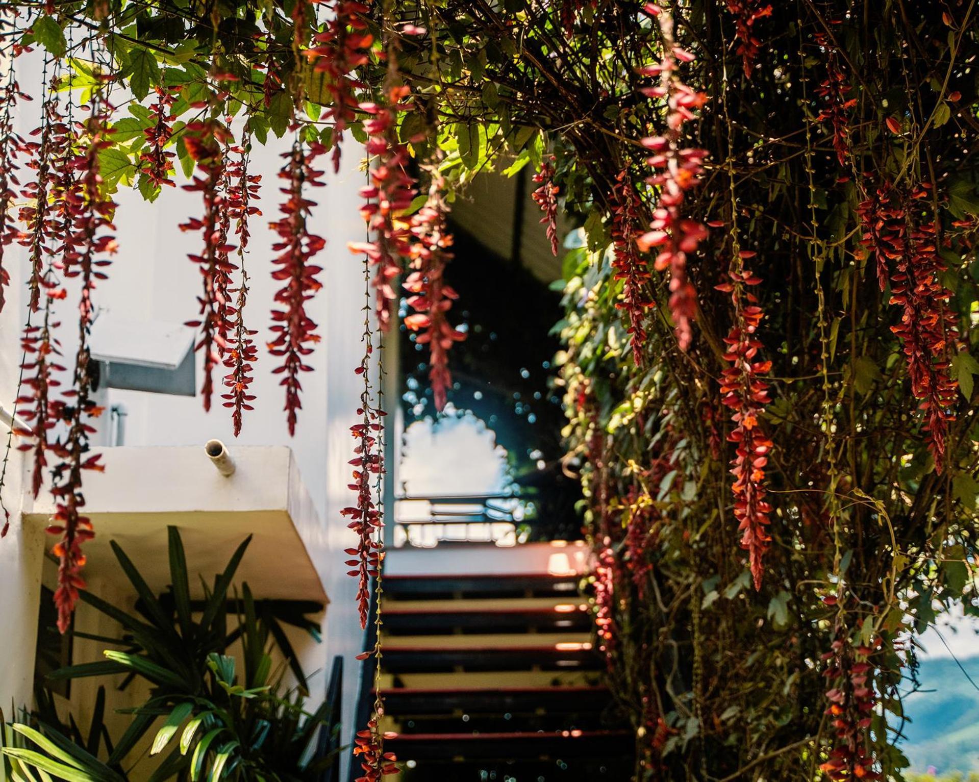Hotel The Leaf Munnar Zewnętrze zdjęcie
